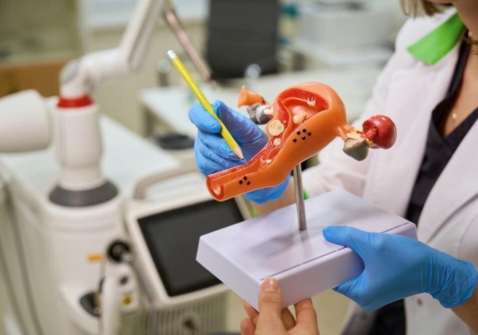 Hands holding a dental model with a toothbrush and dental tool.